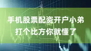 手机股票配资开户小弟打个比方你就懂了