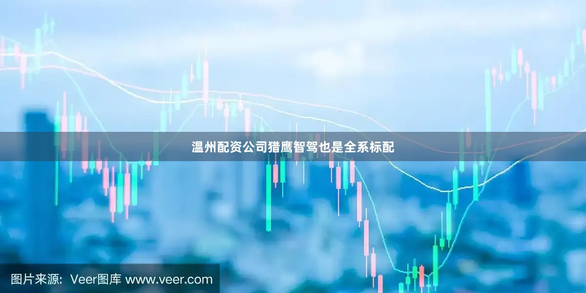 温州配资公司猎鹰智驾也是全系标配