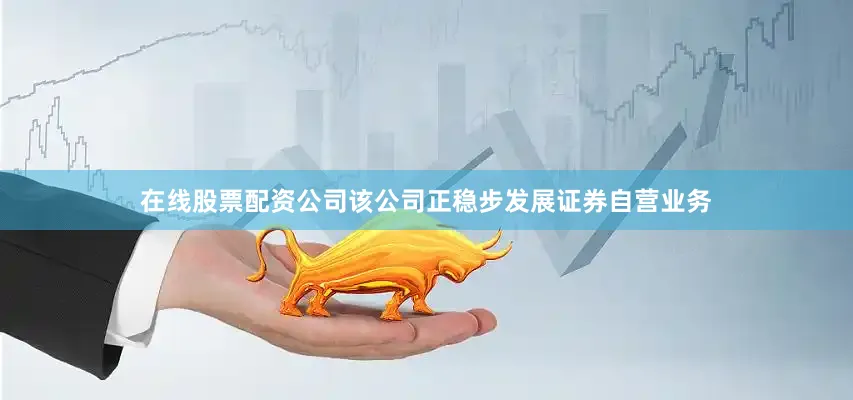 在线股票配资公司该公司正稳步发展证券自营业务