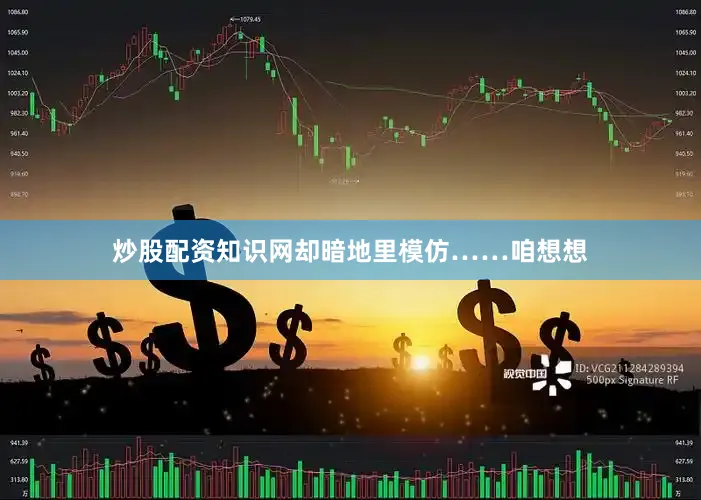 炒股配资知识网却暗地里模仿……咱想想