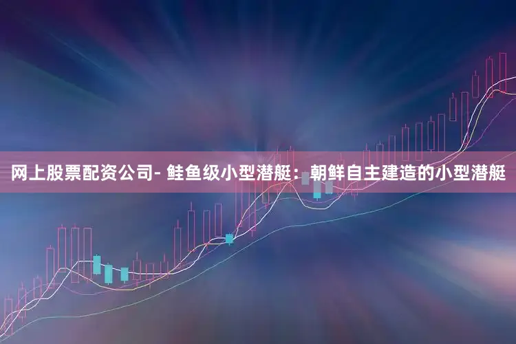 网上股票配资公司- 鲑鱼级小型潜艇：朝鲜自主建造的小型潜艇
