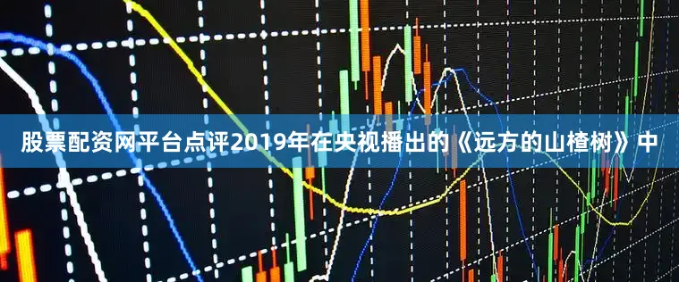 股票配资网平台点评2019年在央视播出的《远方的山楂树》中